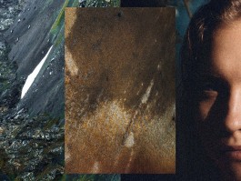 Arnaud Ele x Laura Knoops nature photography