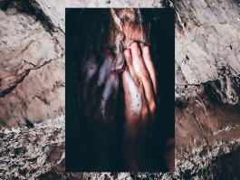 Arnaud Ele x Laura Knoops nature photography