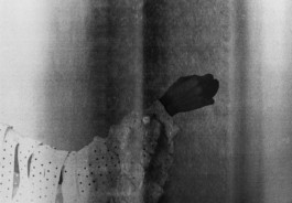 Design & Art direction