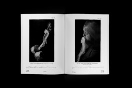 Design & Art direction