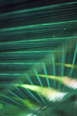 Design & Art direction