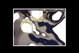 Design & Art direction