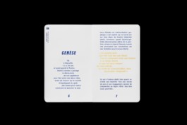 Design & Art direction