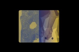 Design & Art direction