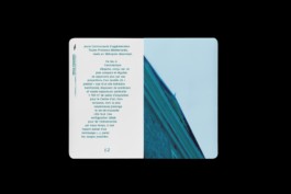 Design & Art direction