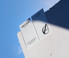 Design & Art direction