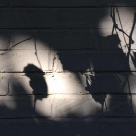 Design & Art direction