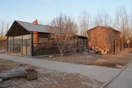 Design & Art direction