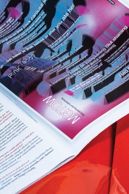 Laura Knoops digital illustration in Sofa Magazine