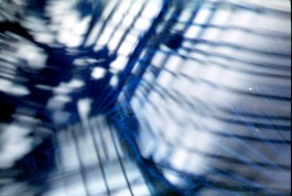 Design & Art direction