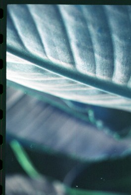 Design & Art direction