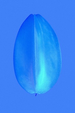 Design & Art direction