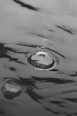 Design & Art direction