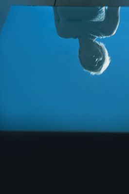 Design & Art direction