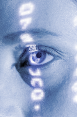 Design & Art direction