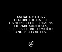 Design & Art direction